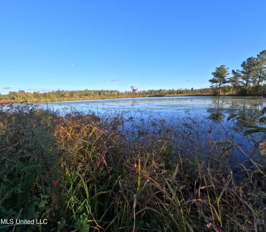 $240,000 | William Warren Road, Collins, MS 39428