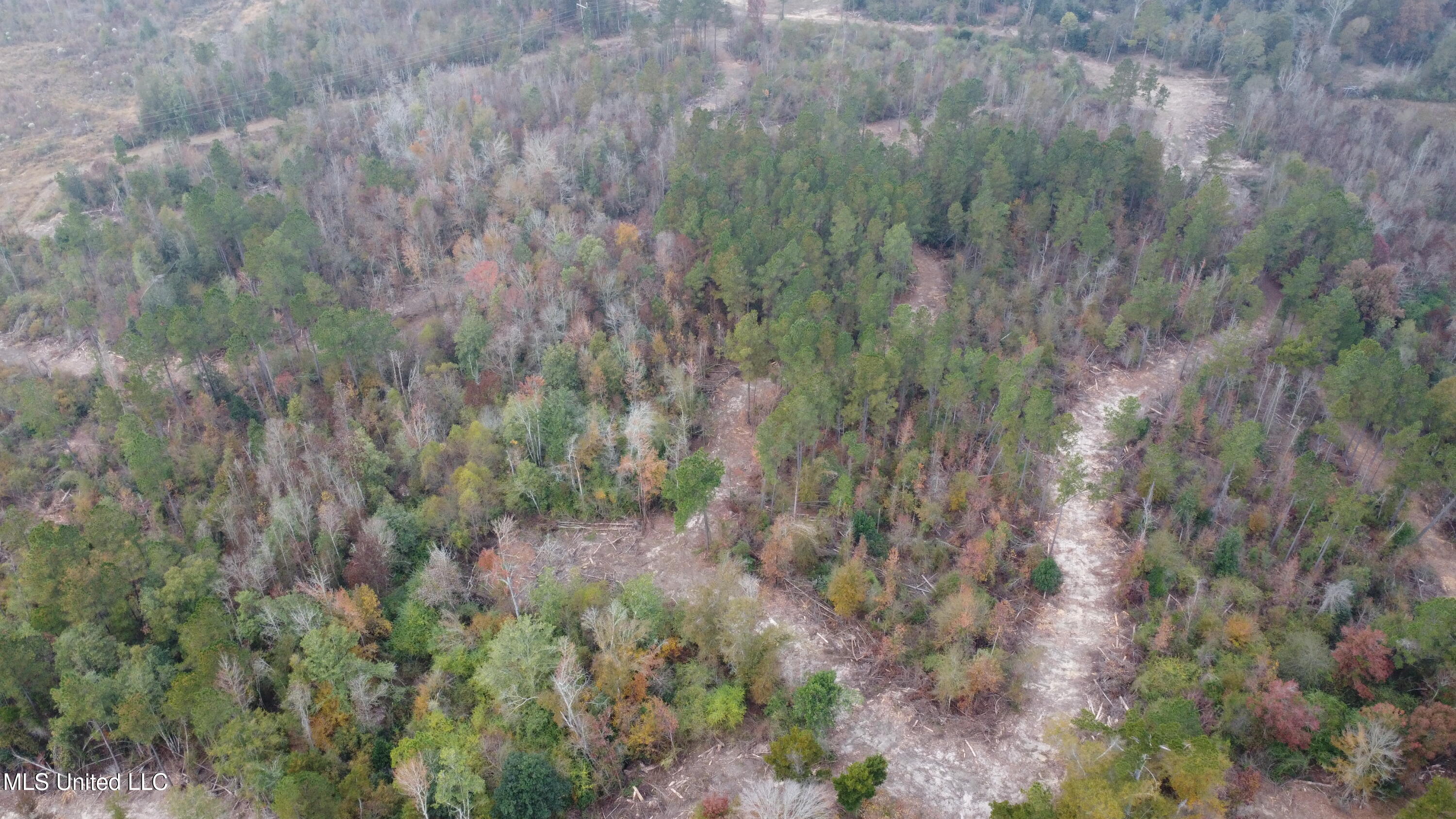 William Warren Road Collins, MS 39428 - Photo 112 of 115 DJI_0654