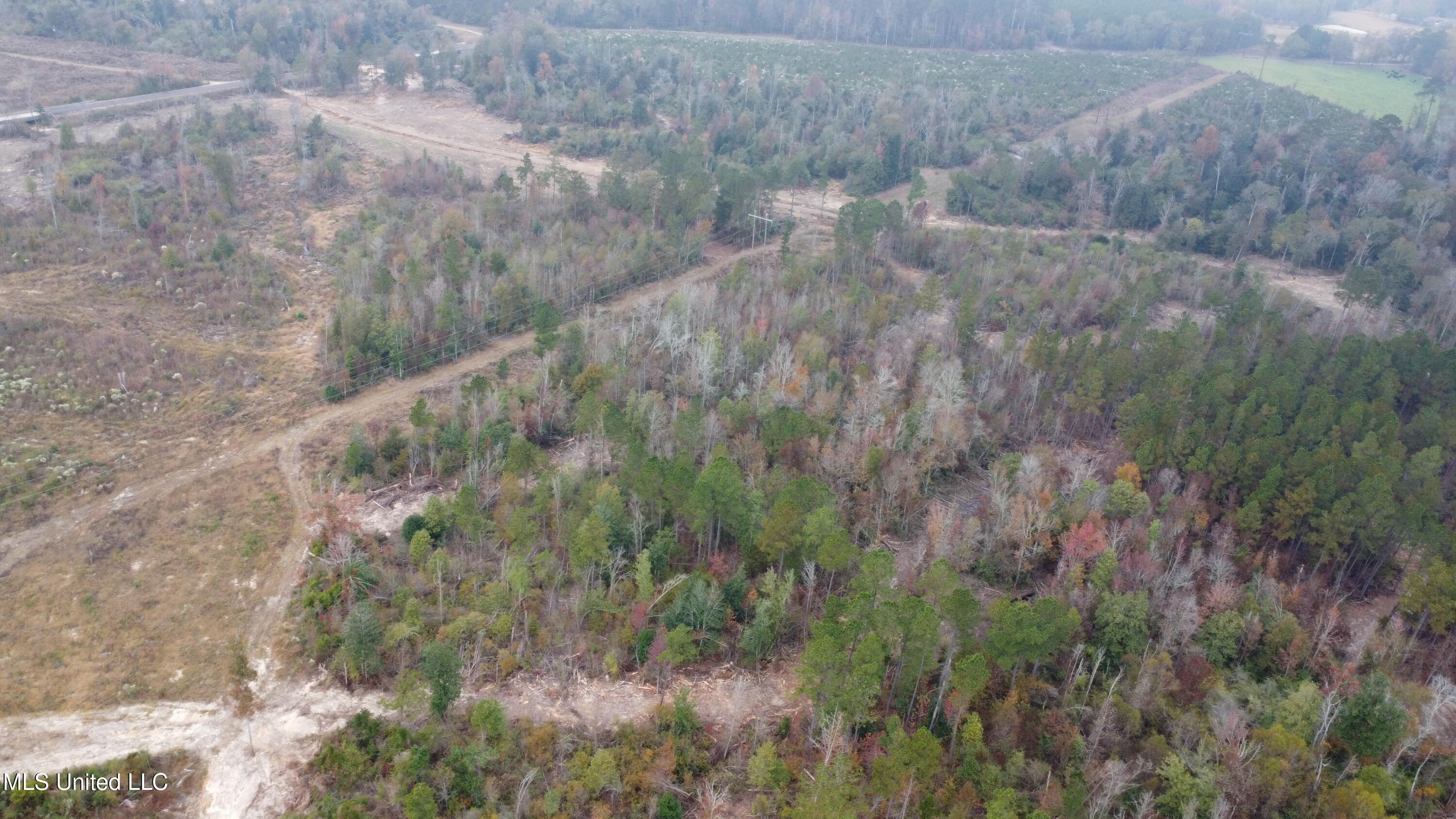 William Warren Road Collins, MS 39428 - Photo 114 of 115 DJI_0656
