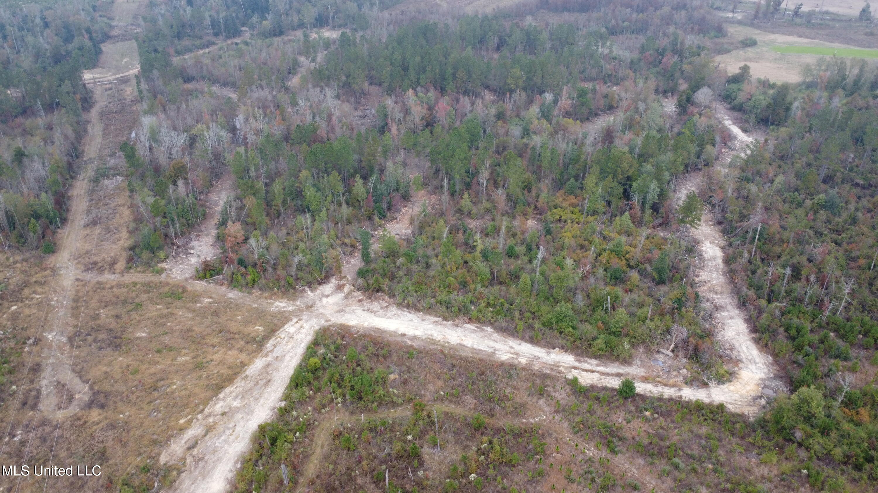 William Warren Road Collins, MS 39428 - Photo 115 of 115 DJI_0657