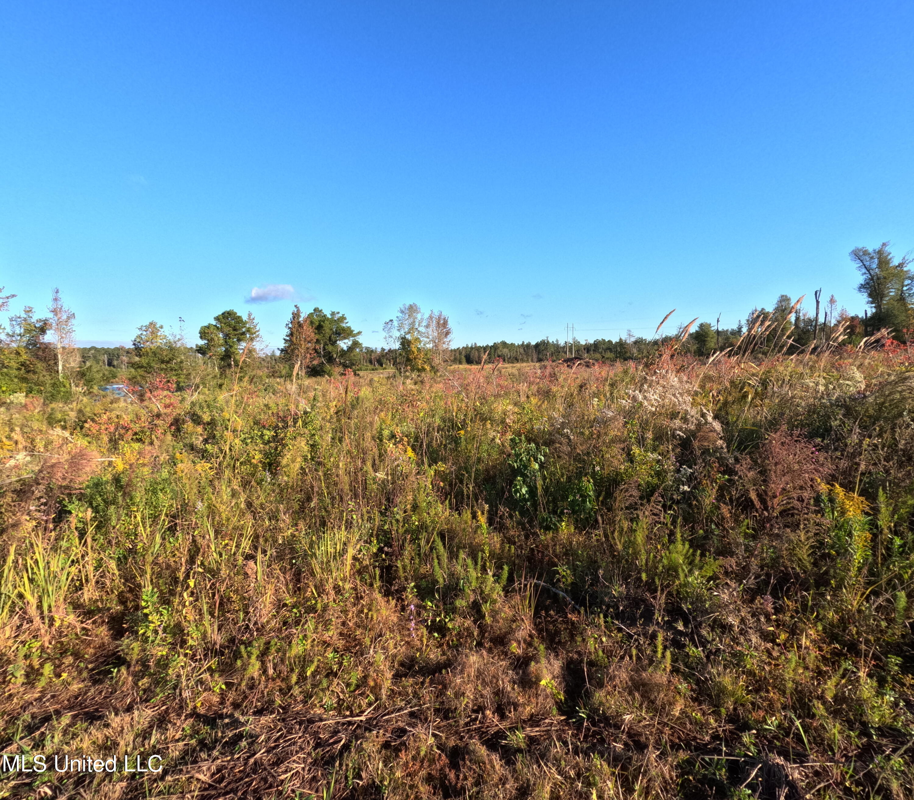 William Warren Road Collins, MS 39428 - Photo 13 of 115 GOPR0625