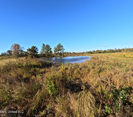 $215,000 | William Warren Road, Collins, MS 39428