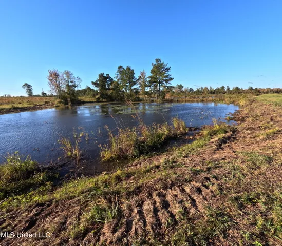 $240,000 | William Warren Road, Collins, MS 39428