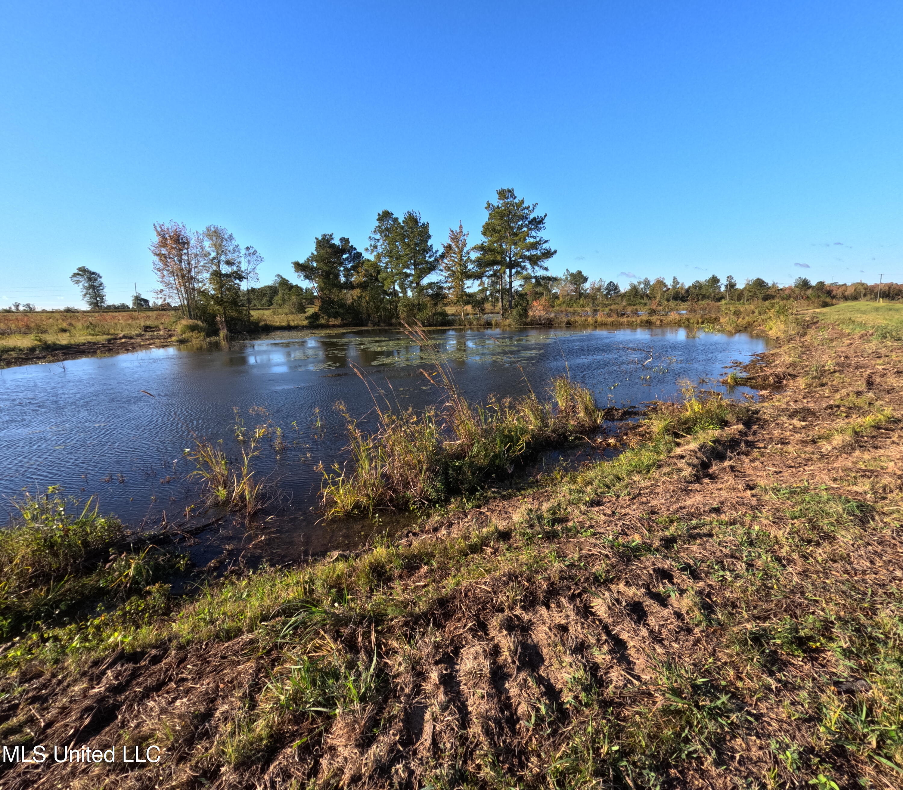 William Warren Road Collins, MS 39428 - Photo 15 of 115 GOPR0629