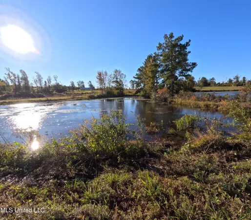 $215,000 | William Warren Road, Collins, MS 39428