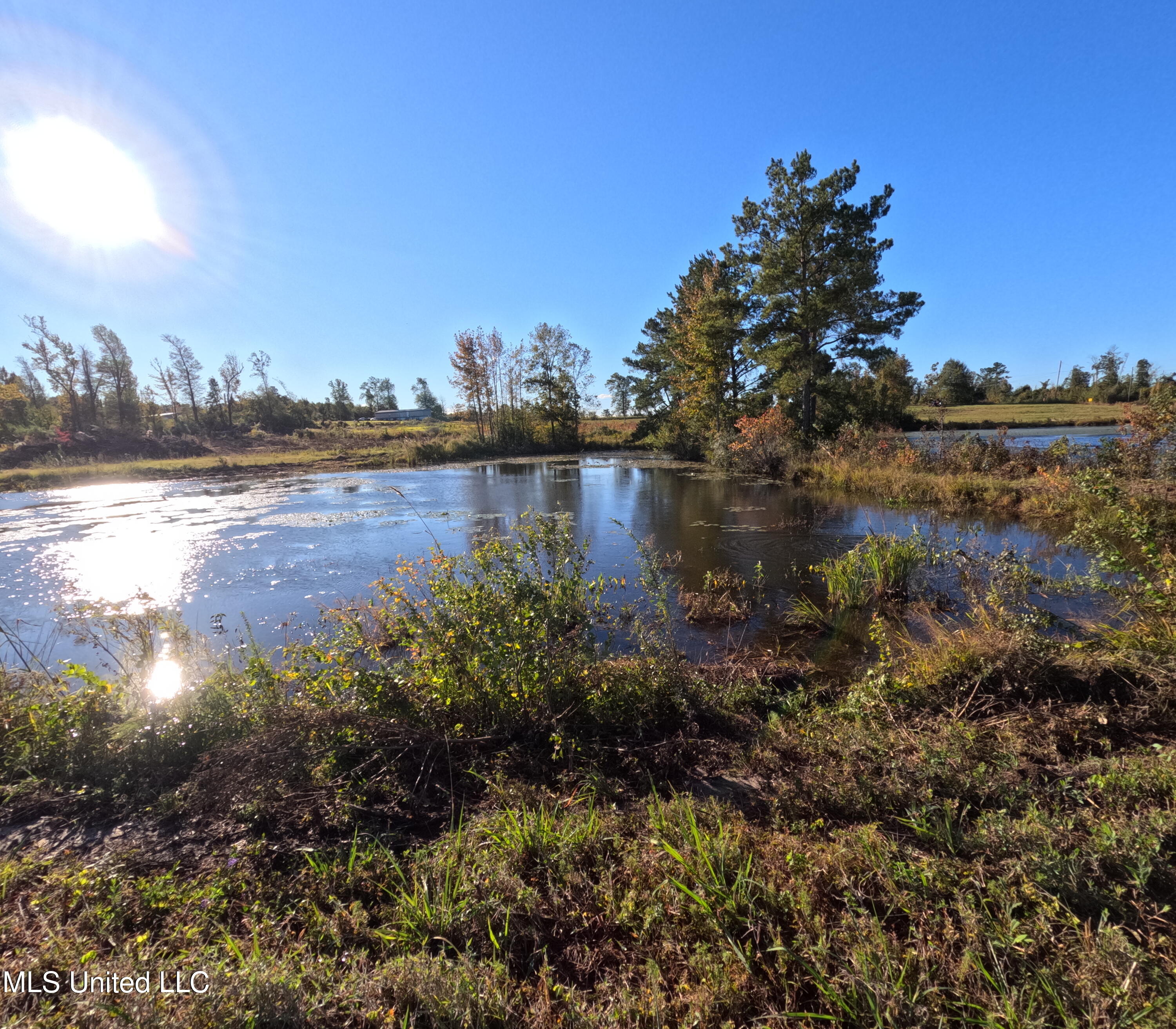 William Warren Road Collins, MS 39428 - Photo 16 of 115 GOPR0630