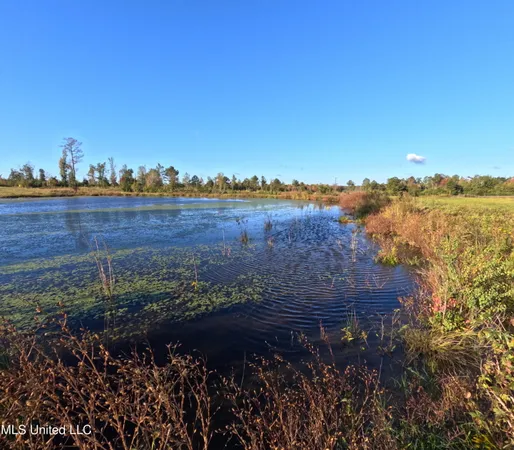 $215,000 | William Warren Road, Collins, MS 39428