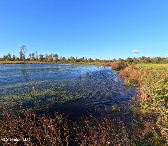 $240,000 | William Warren Road, Collins, MS 39428