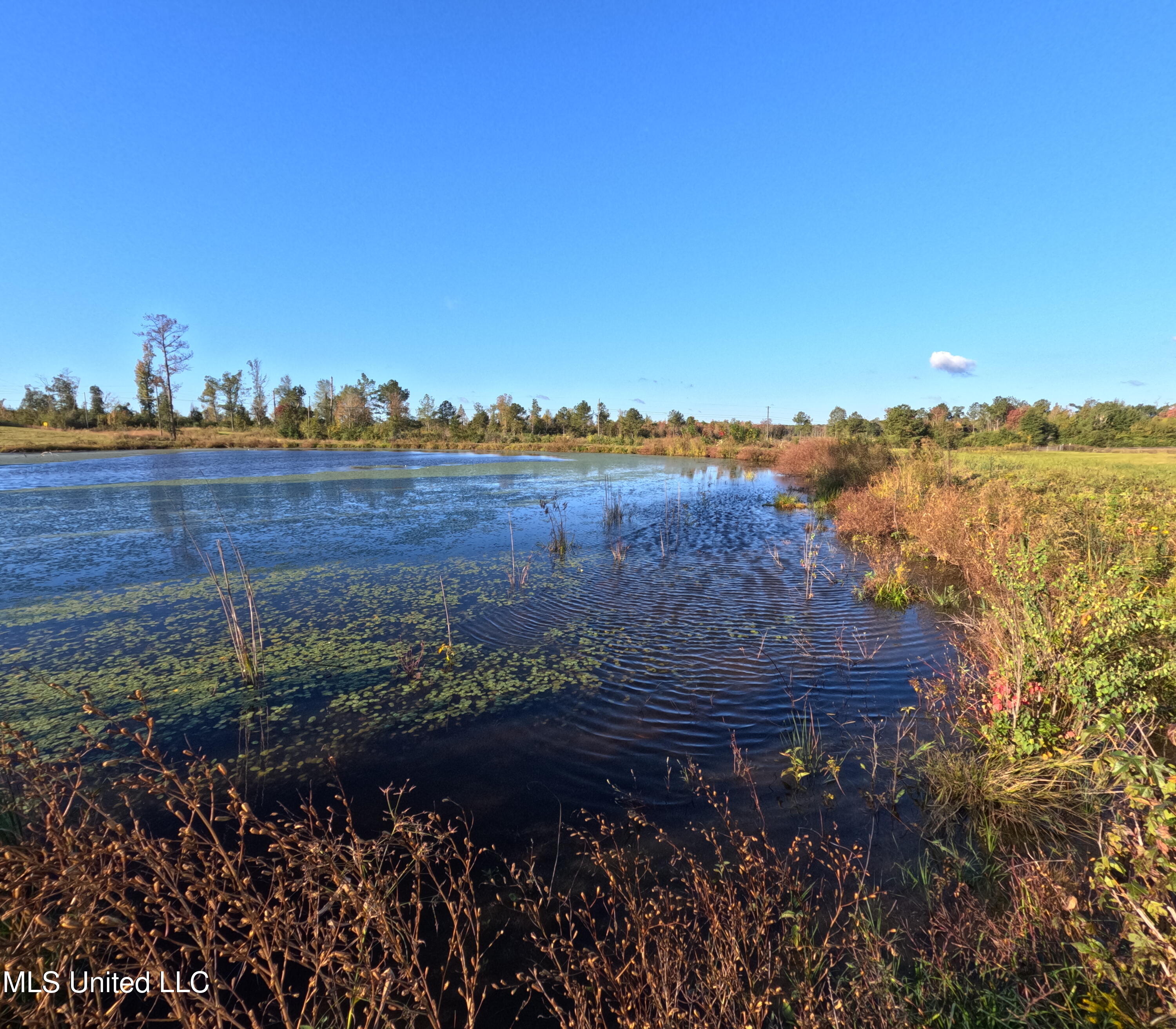 William Warren Road Collins, MS 39428 - Photo 17 of 115 GOPR0633