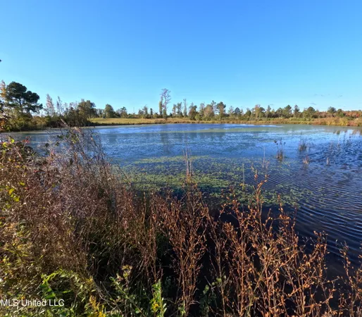 $215,000 | William Warren Road, Collins, MS 39428