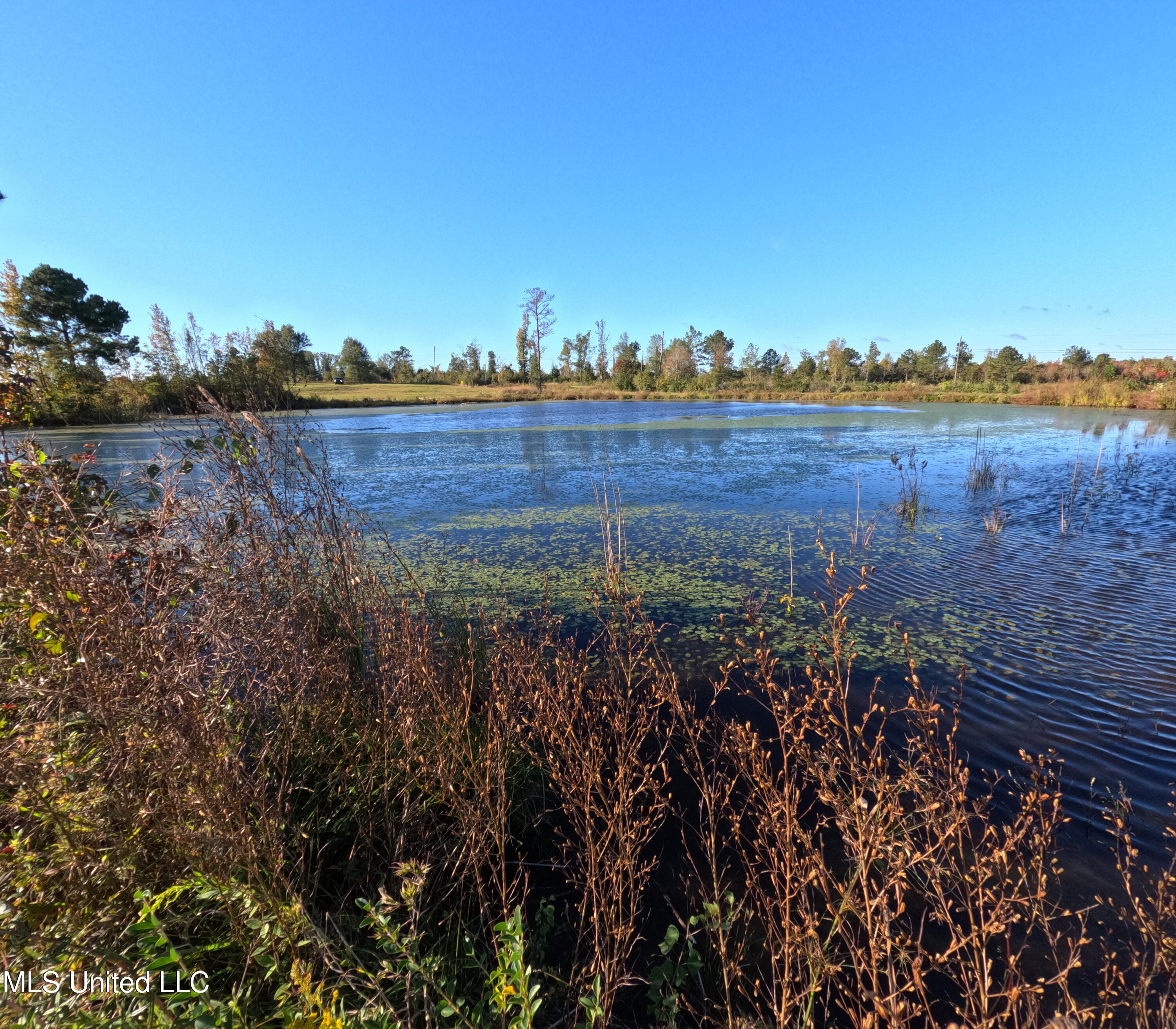 William Warren Road Collins, MS 39428 - Photo 18 of 115 GOPR0634