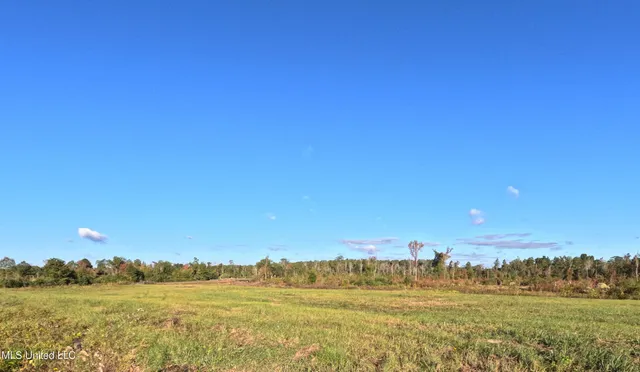 $240,000 | William Warren Road, Collins, MS 39428