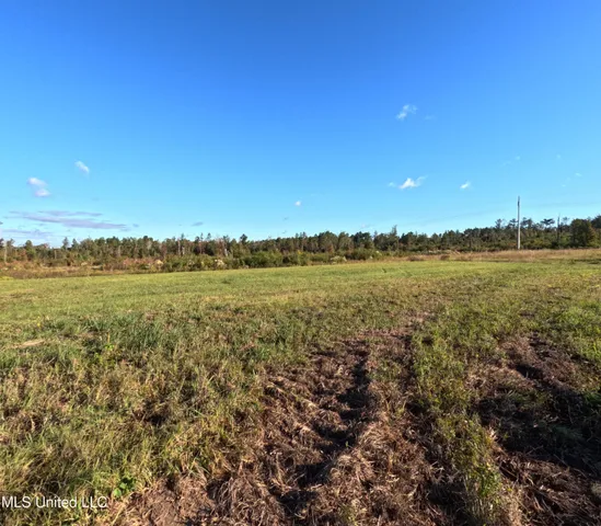 $240,000 | William Warren Road, Collins, MS 39428