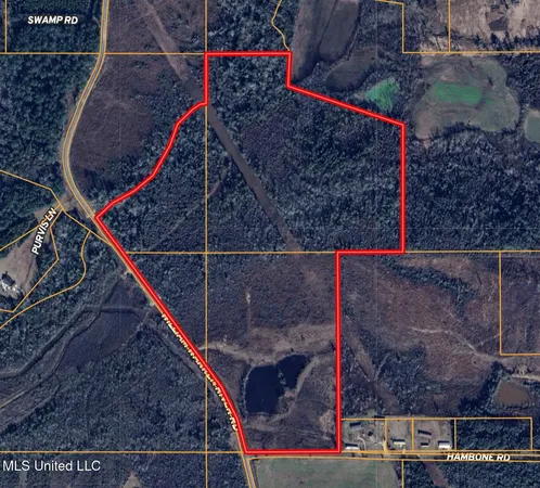 $215,000 | William Warren Road, Collins, MS 39428