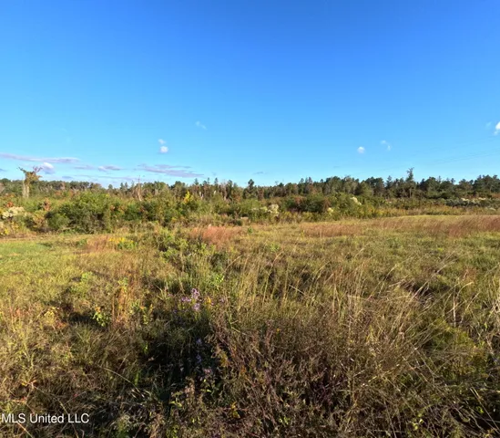 $240,000 | William Warren Road, Collins, MS 39428