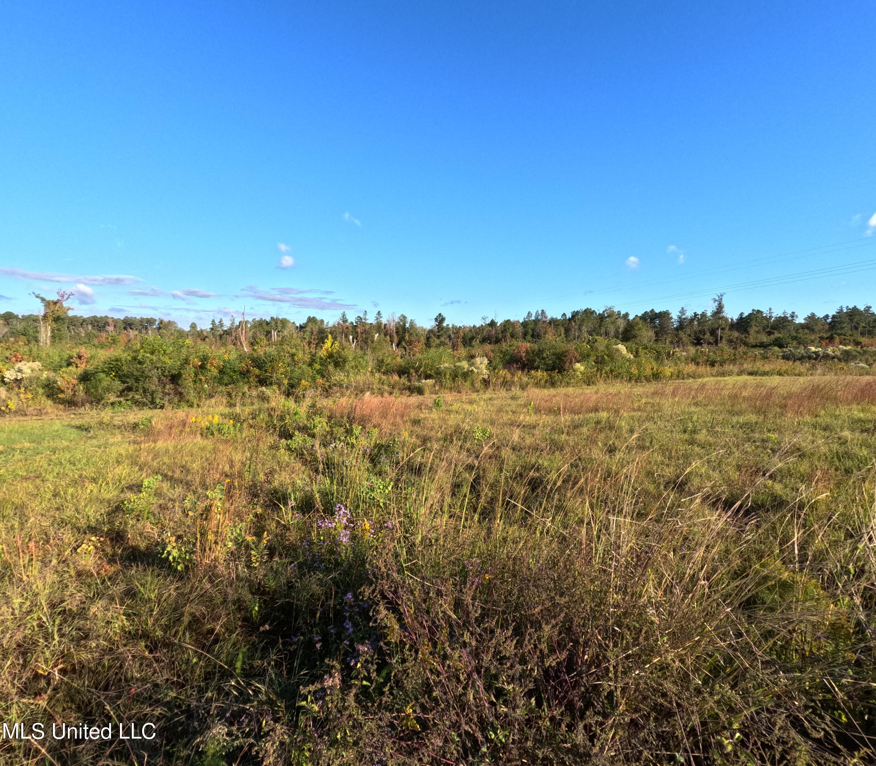 William Warren Road Collins, MS 39428 - Photo 21 of 115 GOPR0637
