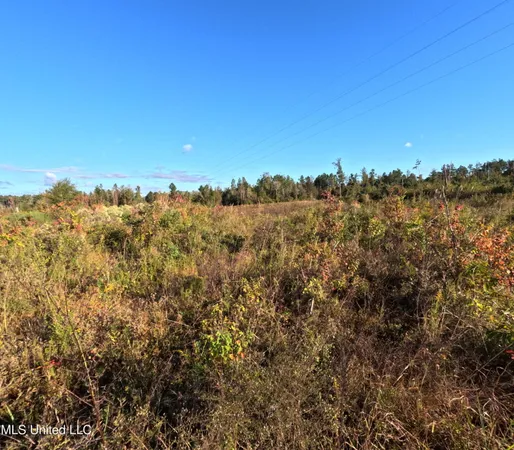 $215,000 | William Warren Road, Collins, MS 39428