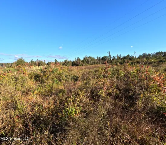 $240,000 | William Warren Road, Collins, MS 39428