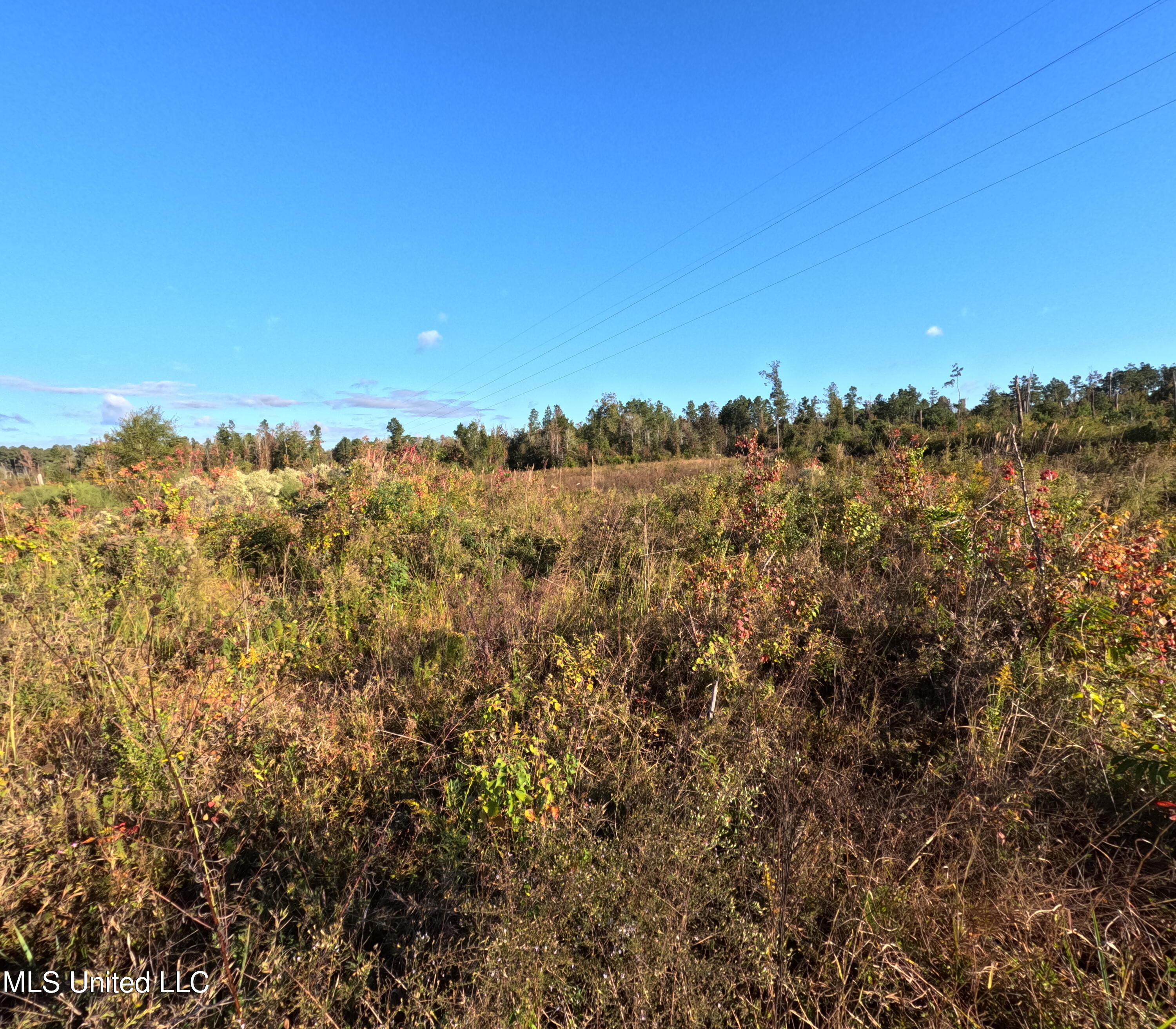 William Warren Road Collins, MS 39428 - Photo 22 of 115 GOPR0638