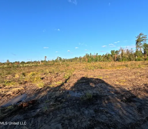 $215,000 | William Warren Road, Collins, MS 39428