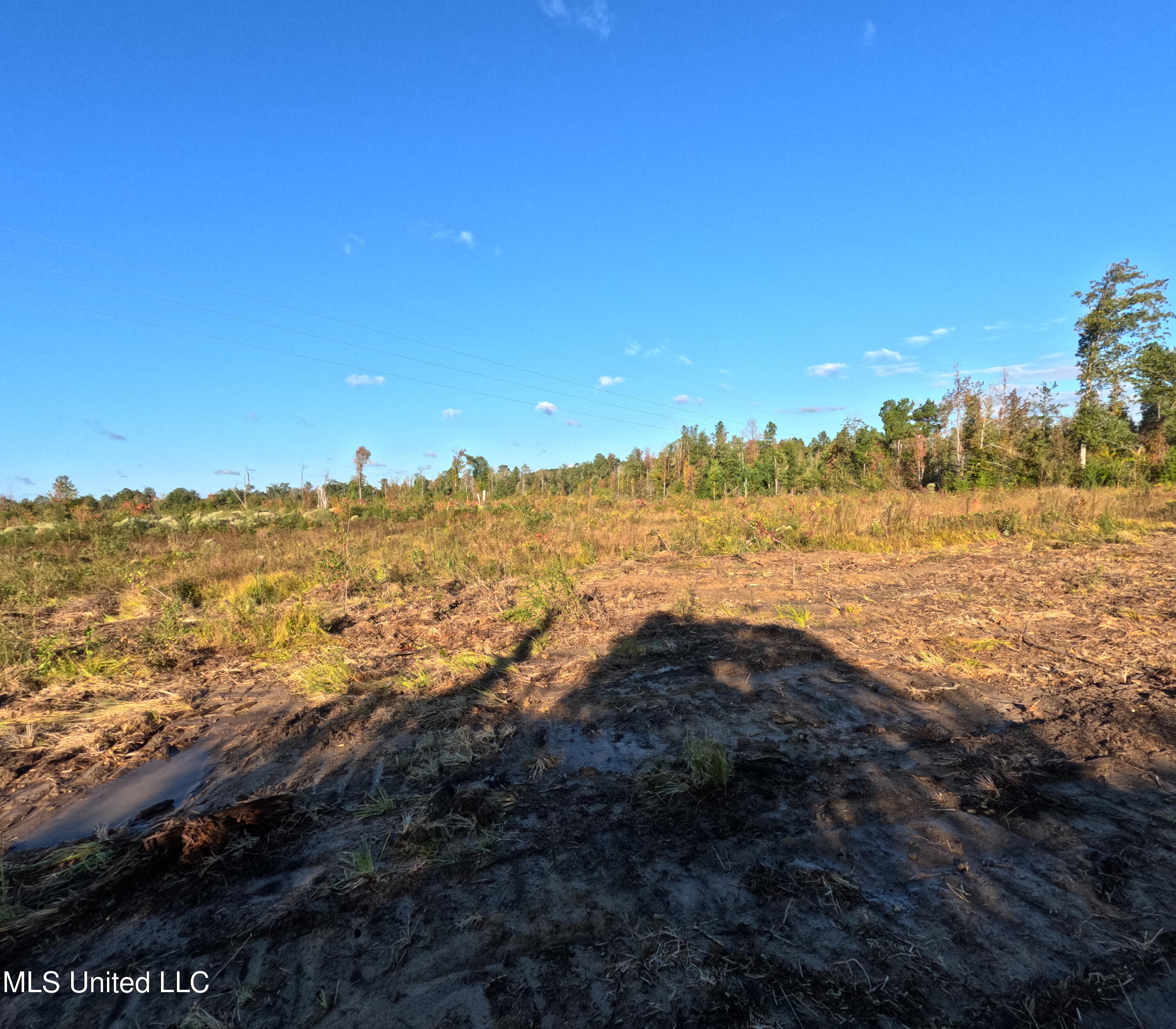 William Warren Road Collins, MS 39428 - Photo 23 of 115 GOPR0639