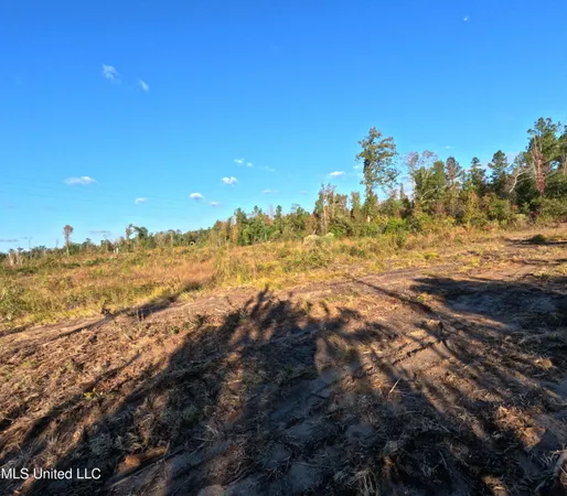 $215,000 | William Warren Road, Collins, MS 39428