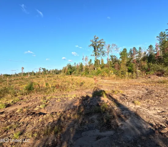 $240,000 | William Warren Road, Collins, MS 39428