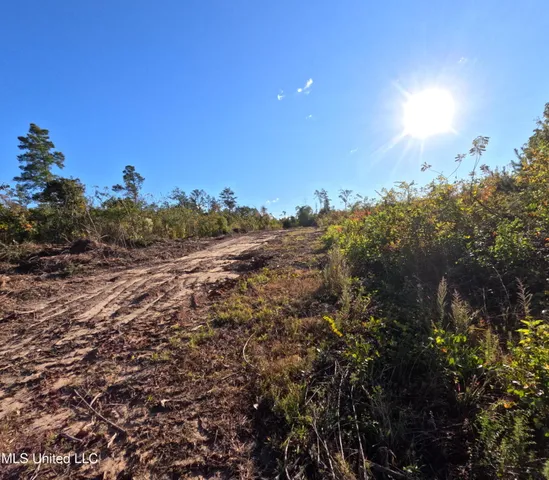 $240,000 | William Warren Road, Collins, MS 39428