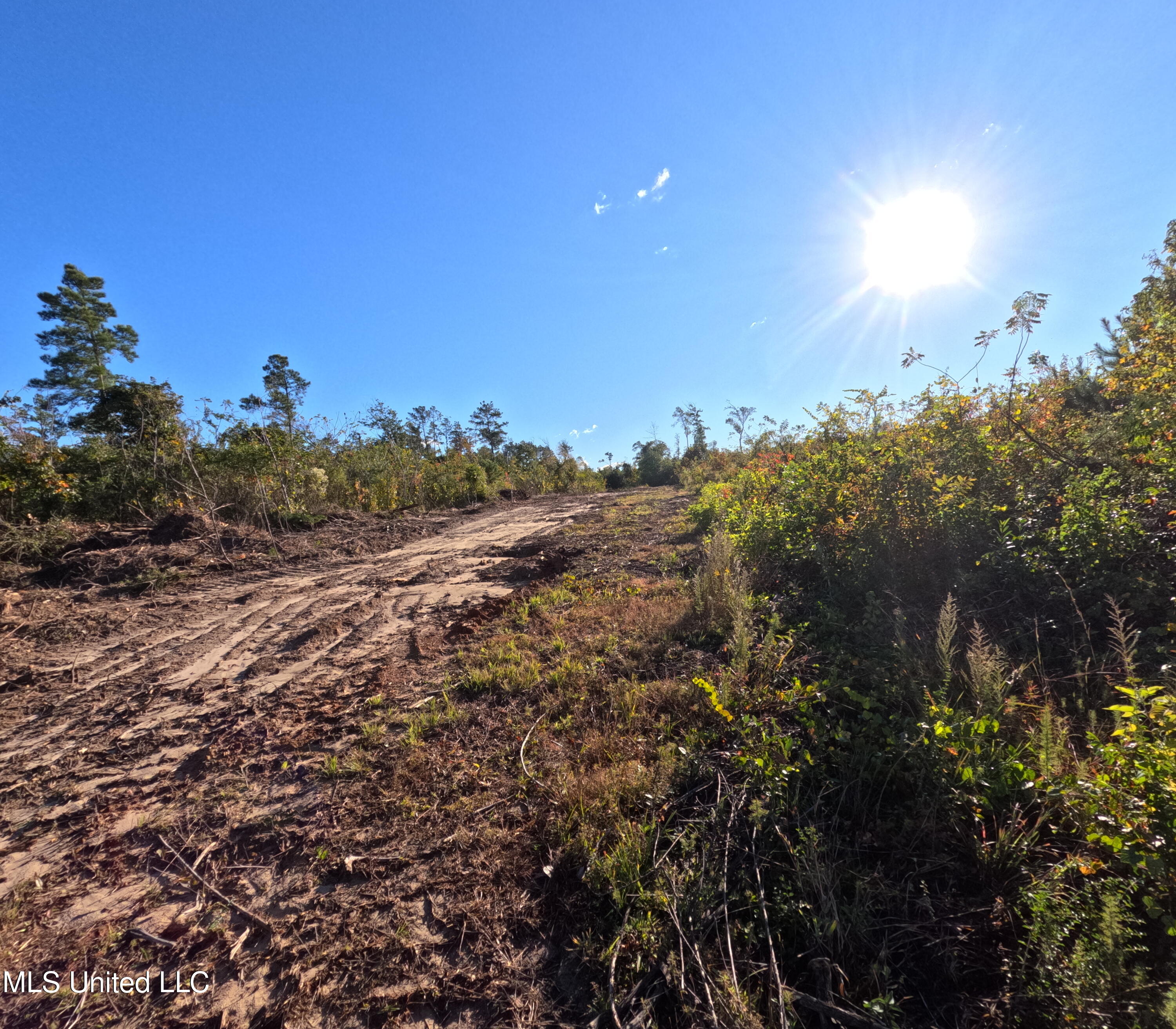 William Warren Road Collins, MS 39428 - Photo 26 of 115 GOPR0643