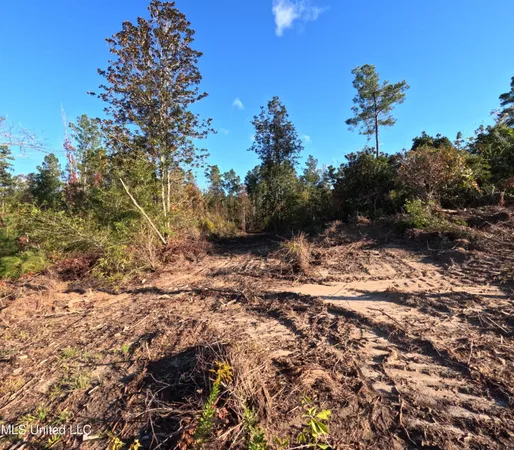 $215,000 | William Warren Road, Collins, MS 39428