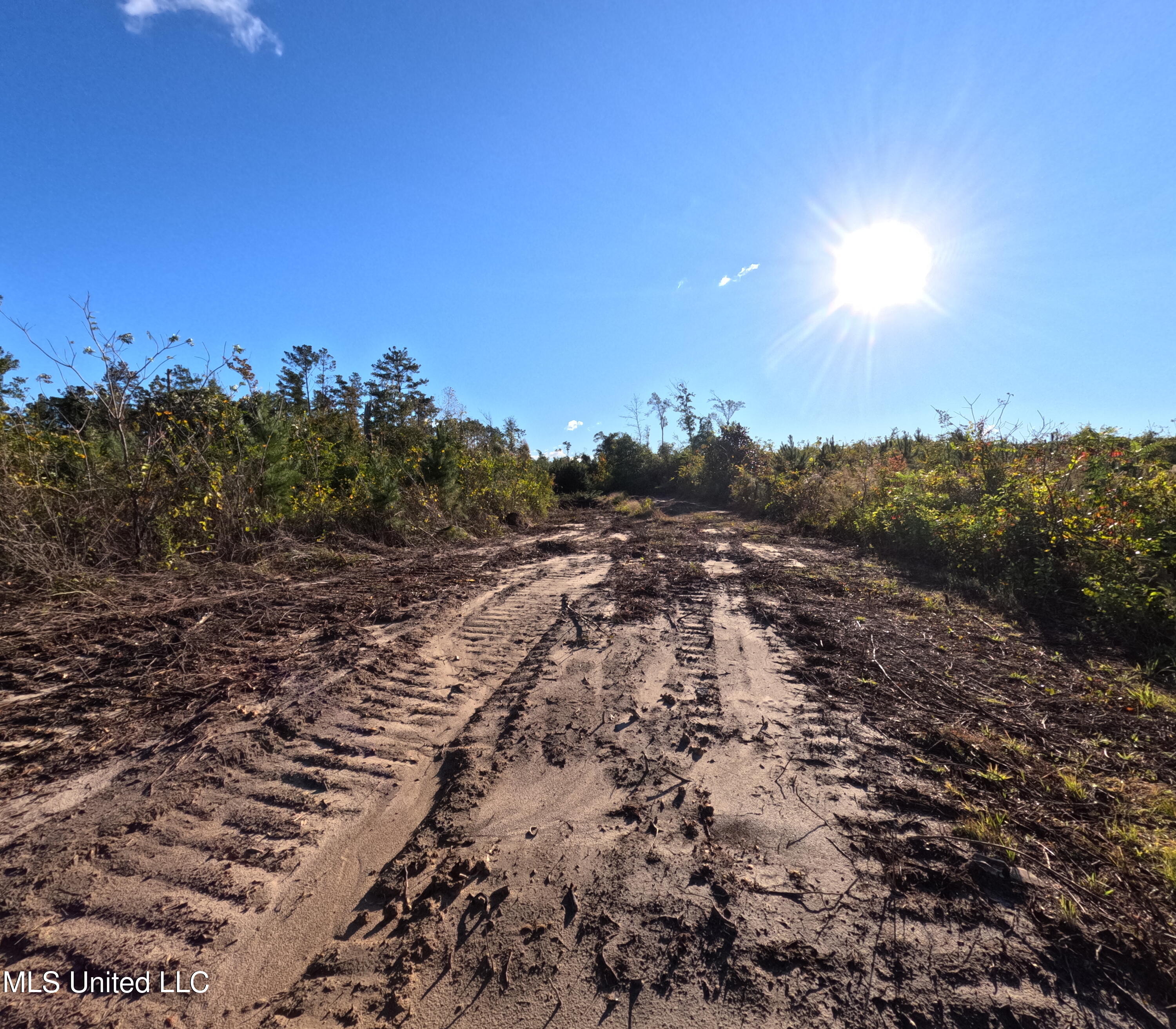 William Warren Road Collins, MS 39428 - Photo 28 of 115 GOPR0645