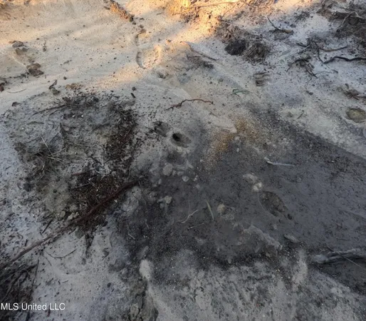 $215,000 | William Warren Road, Collins, MS 39428