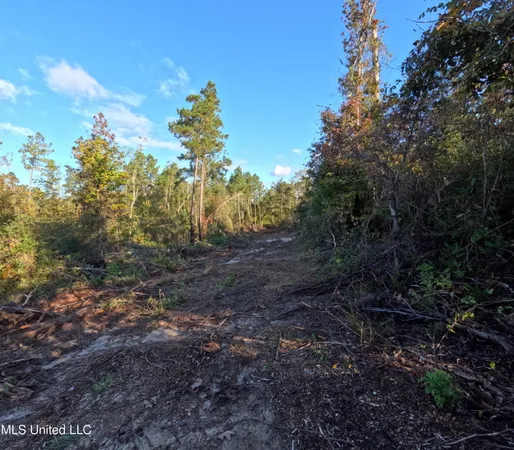 $215,000 | William Warren Road, Collins, MS 39428