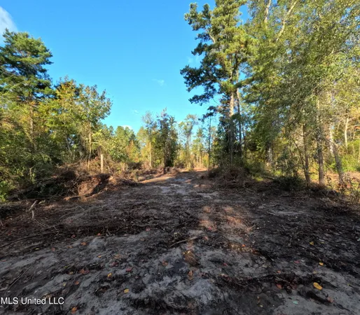 $215,000 | William Warren Road, Collins, MS 39428