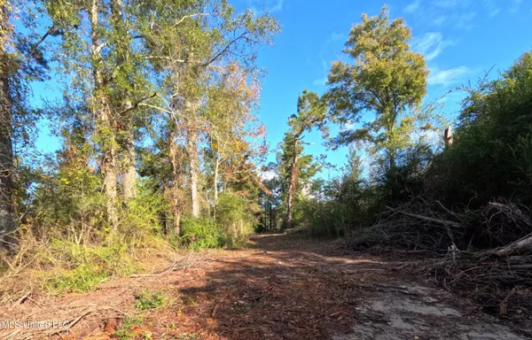 $215,000 | William Warren Road, Collins, MS 39428