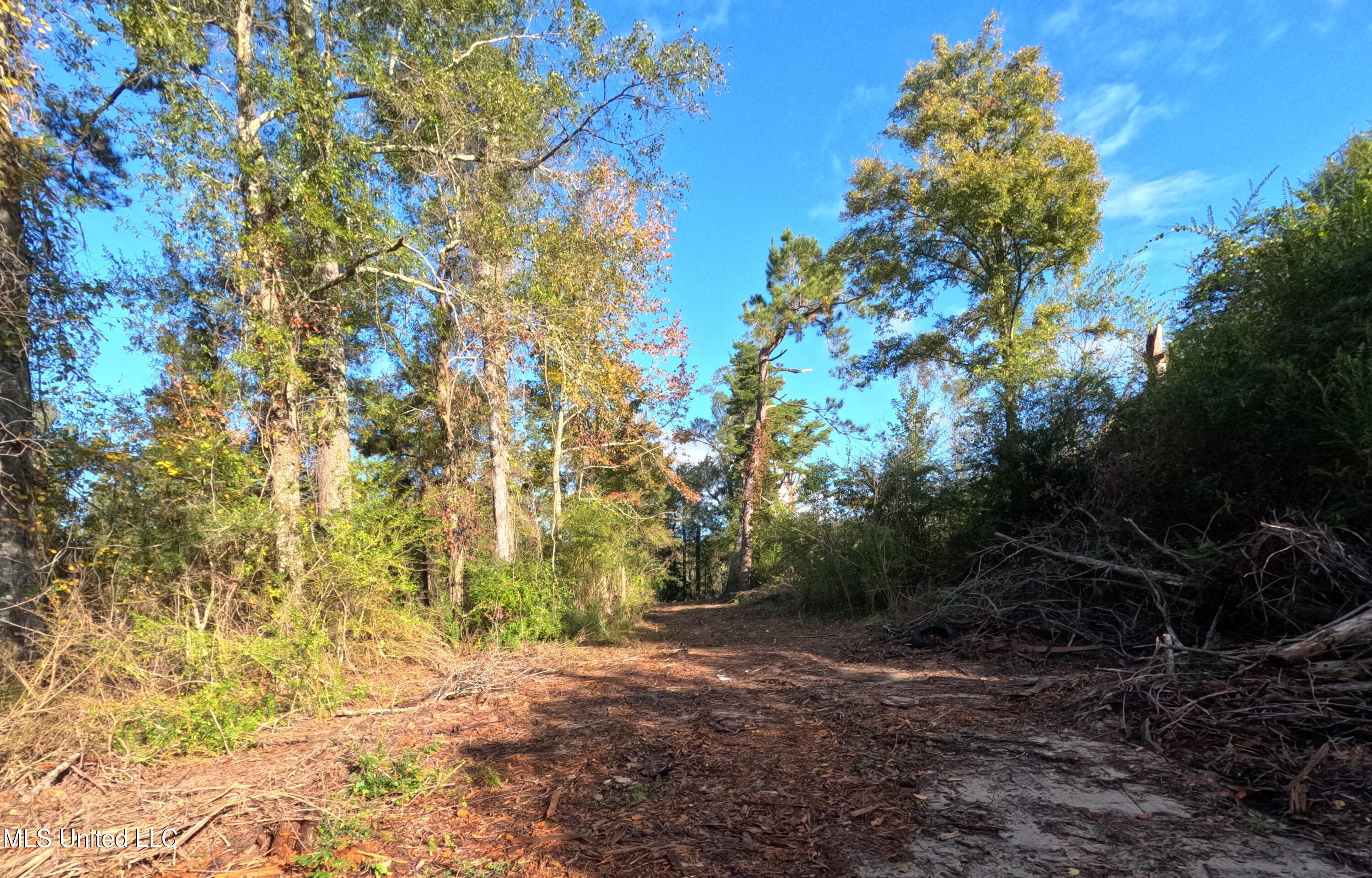 William Warren Road Collins, MS 39428 - Photo 32 of 115 GOPR0652