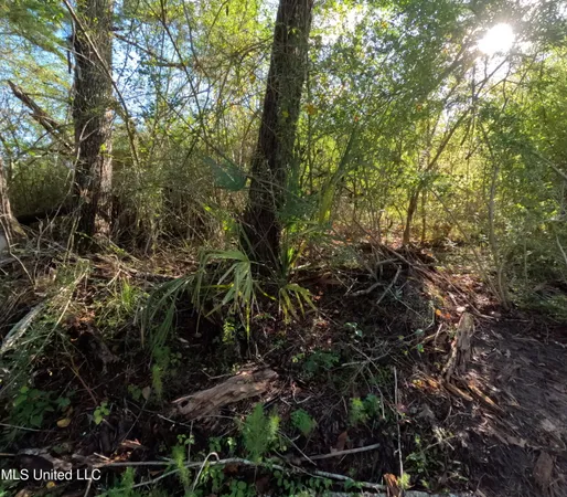 $215,000 | William Warren Road, Collins, MS 39428