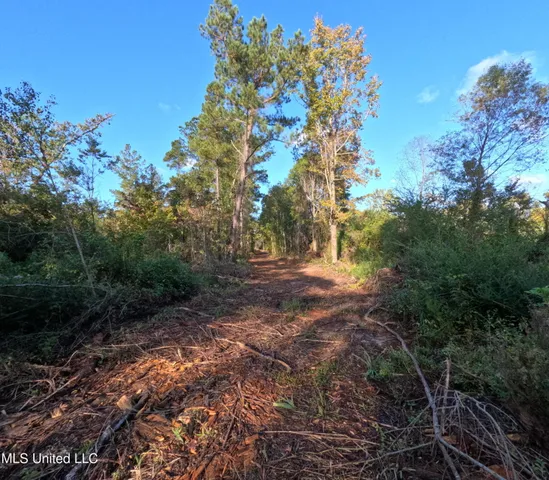 $240,000 | William Warren Road, Collins, MS 39428