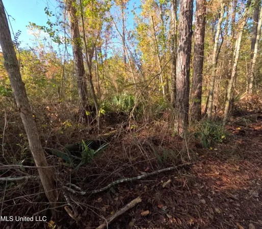 $215,000 | William Warren Road, Collins, MS 39428
