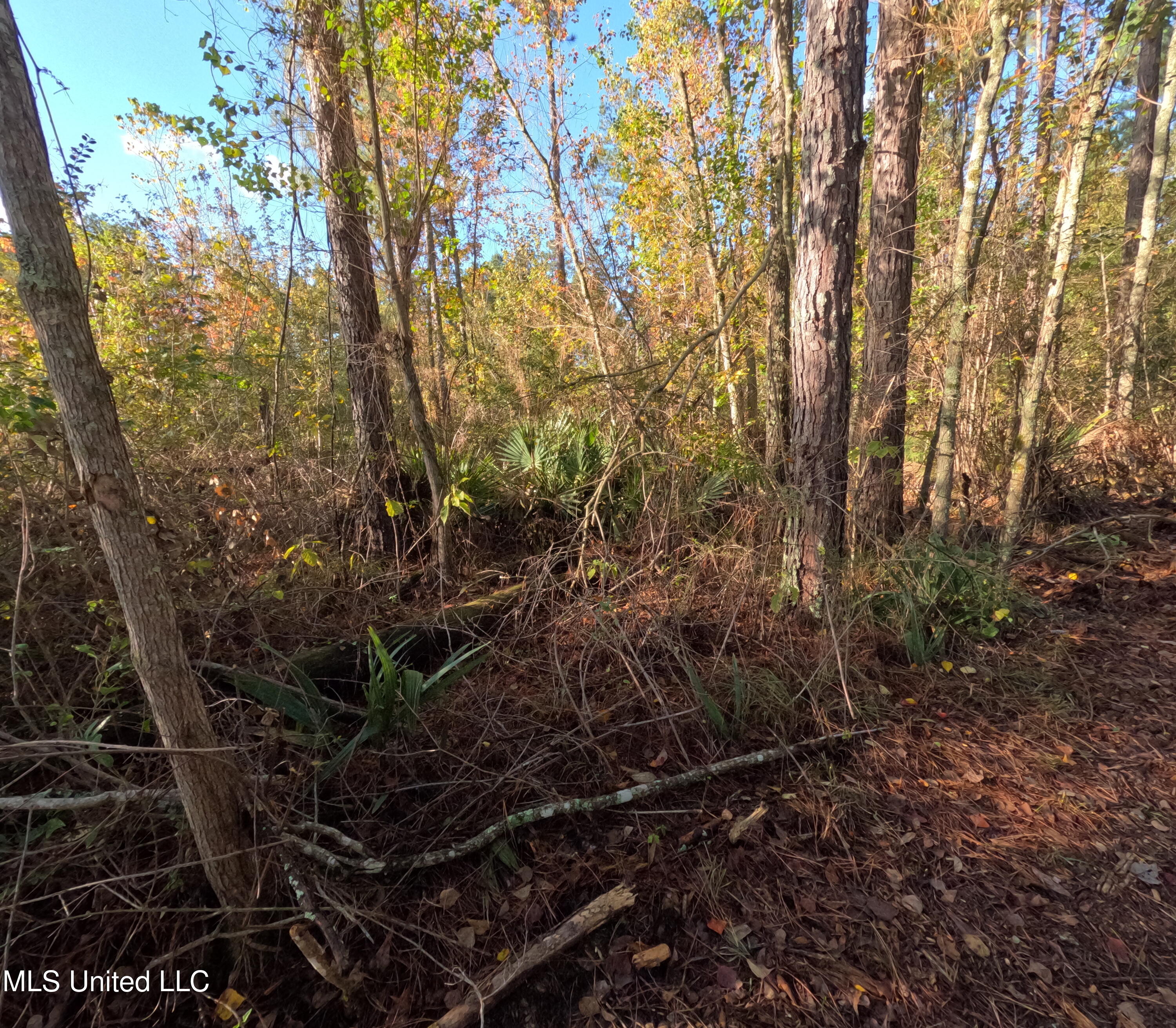 William Warren Road Collins, MS 39428 - Photo 35 of 115 GOPR0656