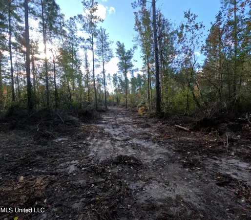 $215,000 | William Warren Road, Collins, MS 39428