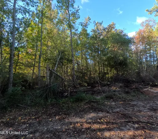 $215,000 | William Warren Road, Collins, MS 39428