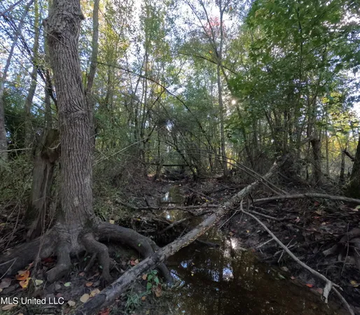 $215,000 | William Warren Road, Collins, MS 39428