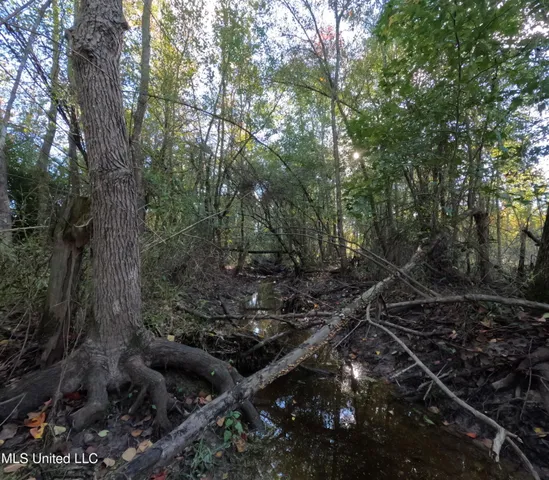 $240,000 | William Warren Road, Collins, MS 39428