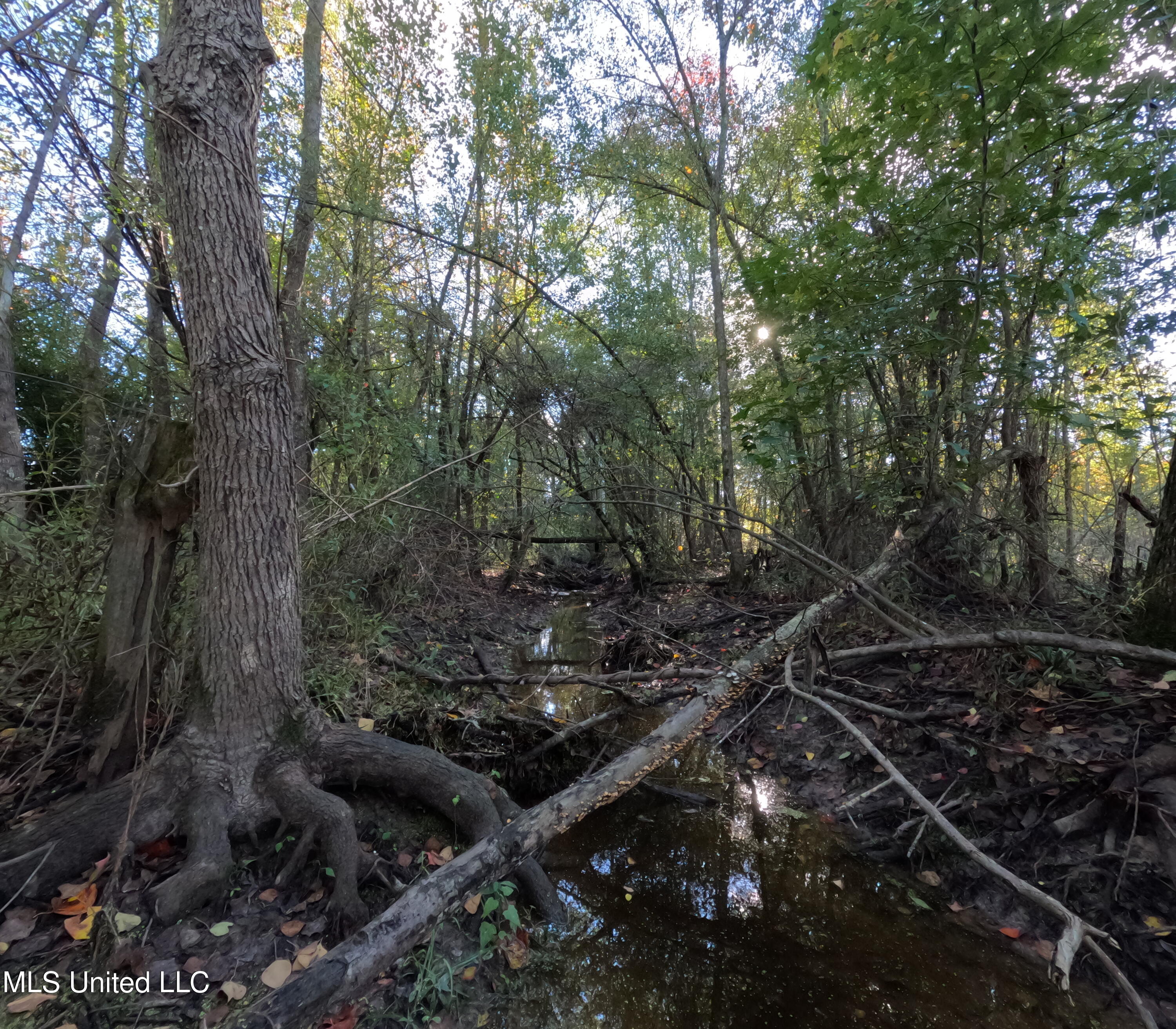 William Warren Road Collins, MS 39428 - Photo 38 of 115 GOPR0660
