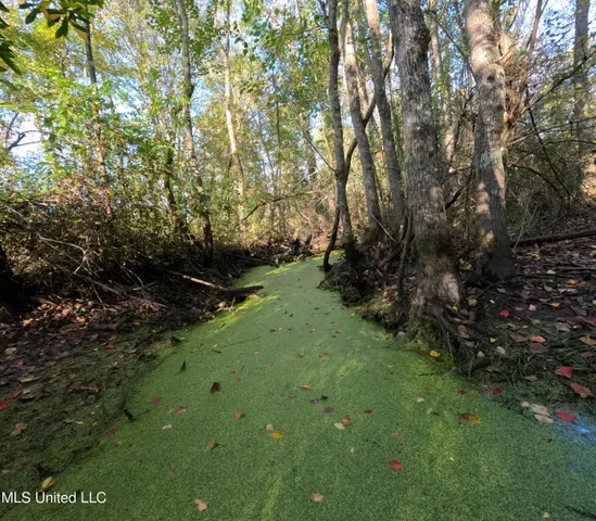 $240,000 | William Warren Road, Collins, MS 39428