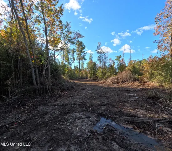 $240,000 | William Warren Road, Collins, MS 39428