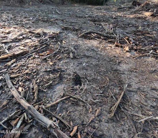 $240,000 | William Warren Road, Collins, MS 39428