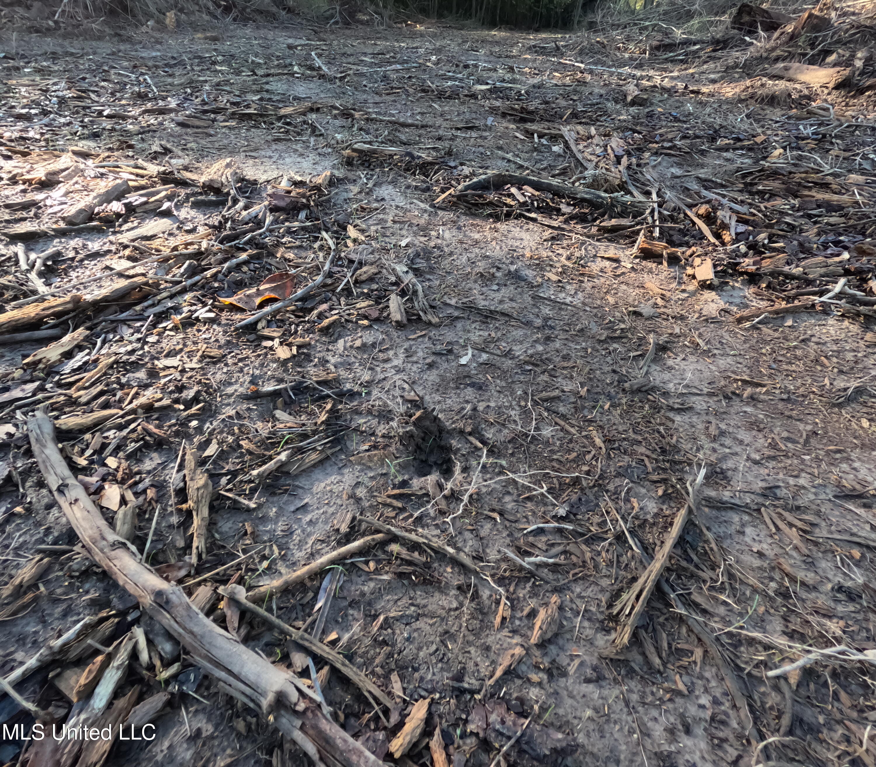 William Warren Road Collins, MS 39428 - Photo 41 of 115 GOPR0663