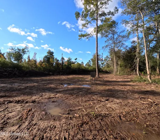 $240,000 | William Warren Road, Collins, MS 39428